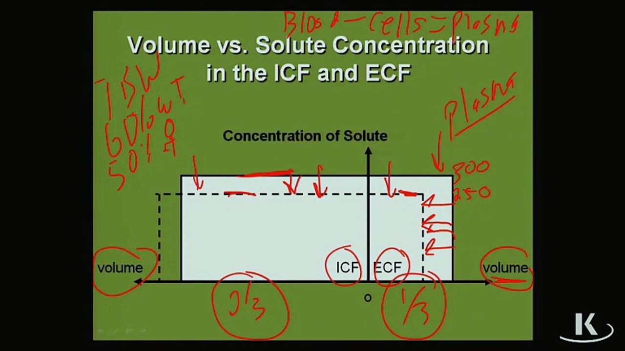 Physio_Fischer_Sec01_Ch01a_DistributionofFluids