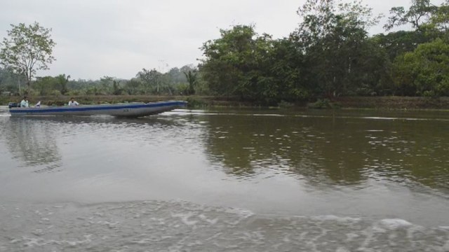 En alerta es declarada Reserva Biológica Indio Maiz en Nicaragua