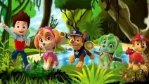 paw Patrol pups Nursery Rhymes - family finger rhymes