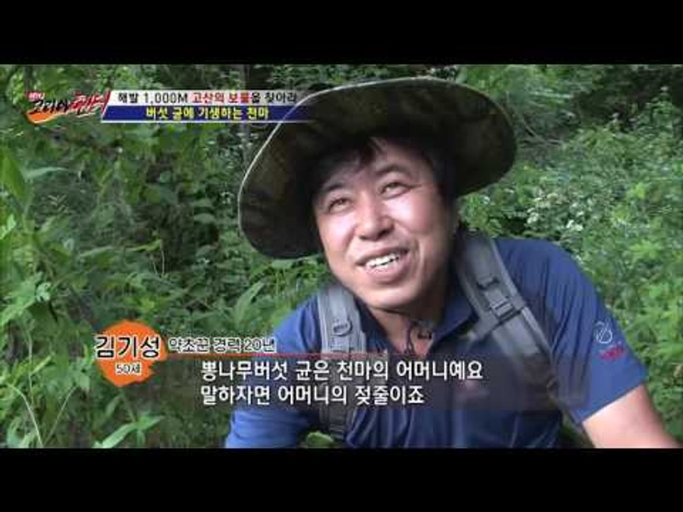 버섯 균에 기생하는 영양 가득 천마! [뉴 코리아 헌터] 6회 20160714