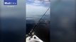 Terrifying moment a huge five-metre great white shark circles around a fishing boat as a father and son cower inside