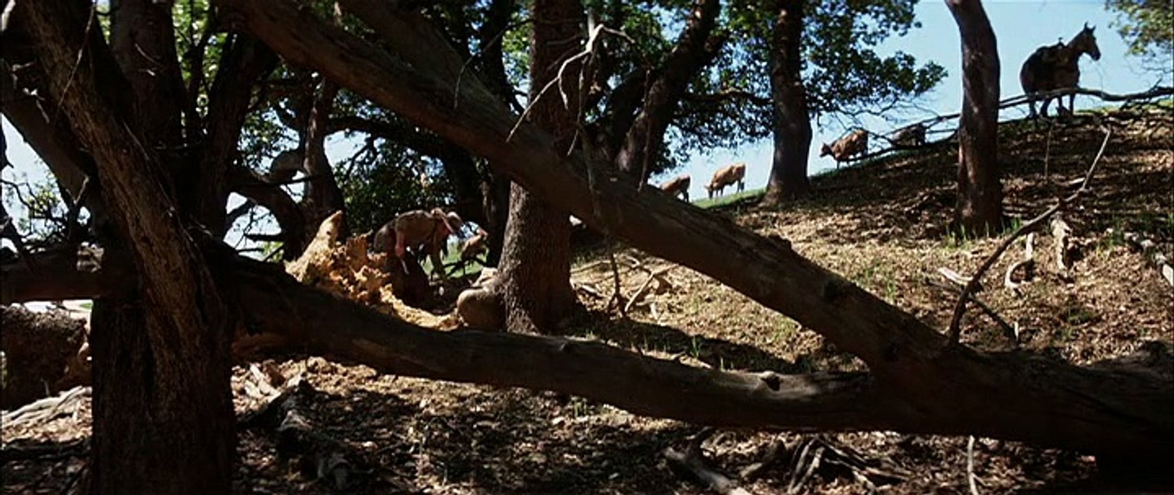 Zandy's Bride (1974) 1/2