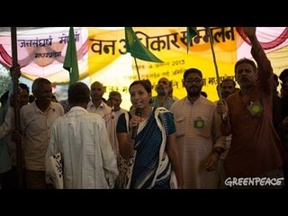 Greenpeace India can access its domestic accounts says Delhi HC