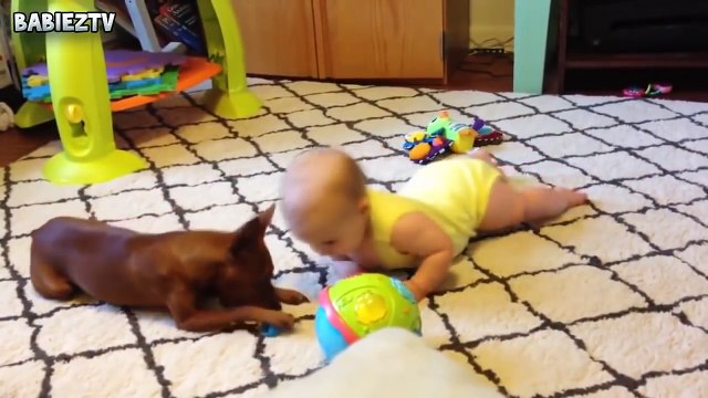 Cute Dogs and Babies Crawling Together - Adorable babies Compilation