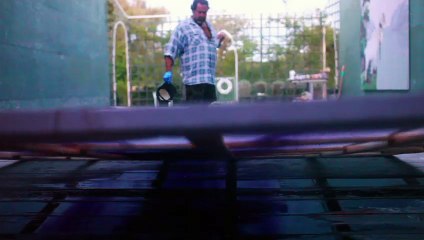 Julian Schnabel: A Private Portrait Movie Trailer 2017