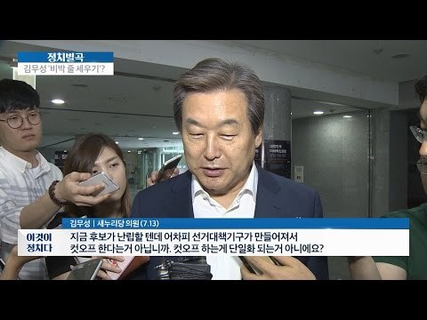 비박계 단일화 촉구 김무성, 비박 줄 세우기? [이것이 정치다] 38회 20160713