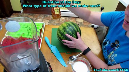 WATERMELON DOG TREAT How to make Frozen DIY Dog Treats - Snacks with the Snow Dogs 34