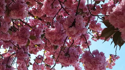 MT낙태수술병원 [중절수술 wwee338899@gmail.com ~메일로 문의하세요.] 낙태수술비용