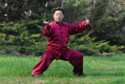 Chen Xiaowang Tai Chi