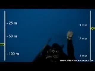 Guillaume nery constant apnée record