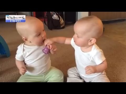 자는 아기얼굴에 시리얼을? 귀여운 아기들의 싸움! [광화문의 아침] 272회 20160712