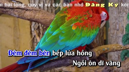 Karaoke - Vợ Tôi - Nhạc Sống Phong Cách Mới Hay Nhất 2017 - Organ Minh Công