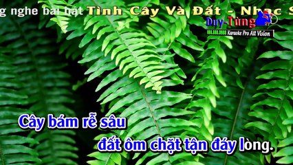 Karaoke - Tình Cây Và Đất - Nhạc Sống Hay Nhất 2017 - Organ Minh Công