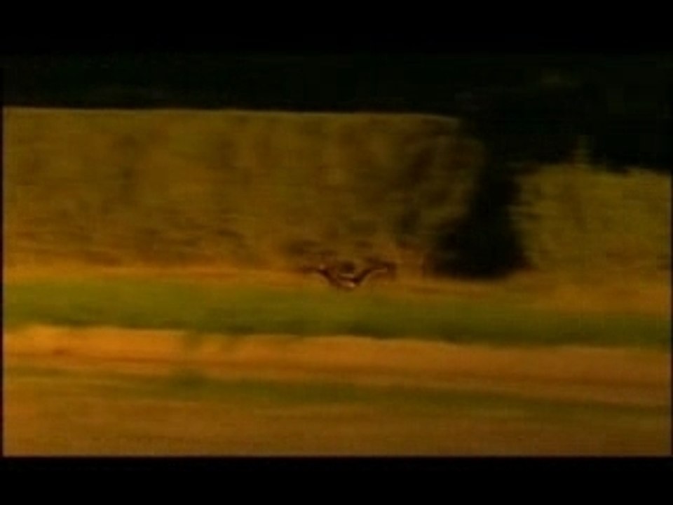 Sur la piste des aigles