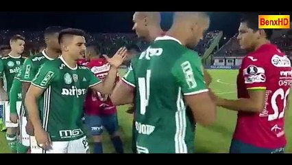 Jorge Wilstermann 3 - 2 Palmeiras, goals & highlights, COMPLETO Libertadores Aliez 1
