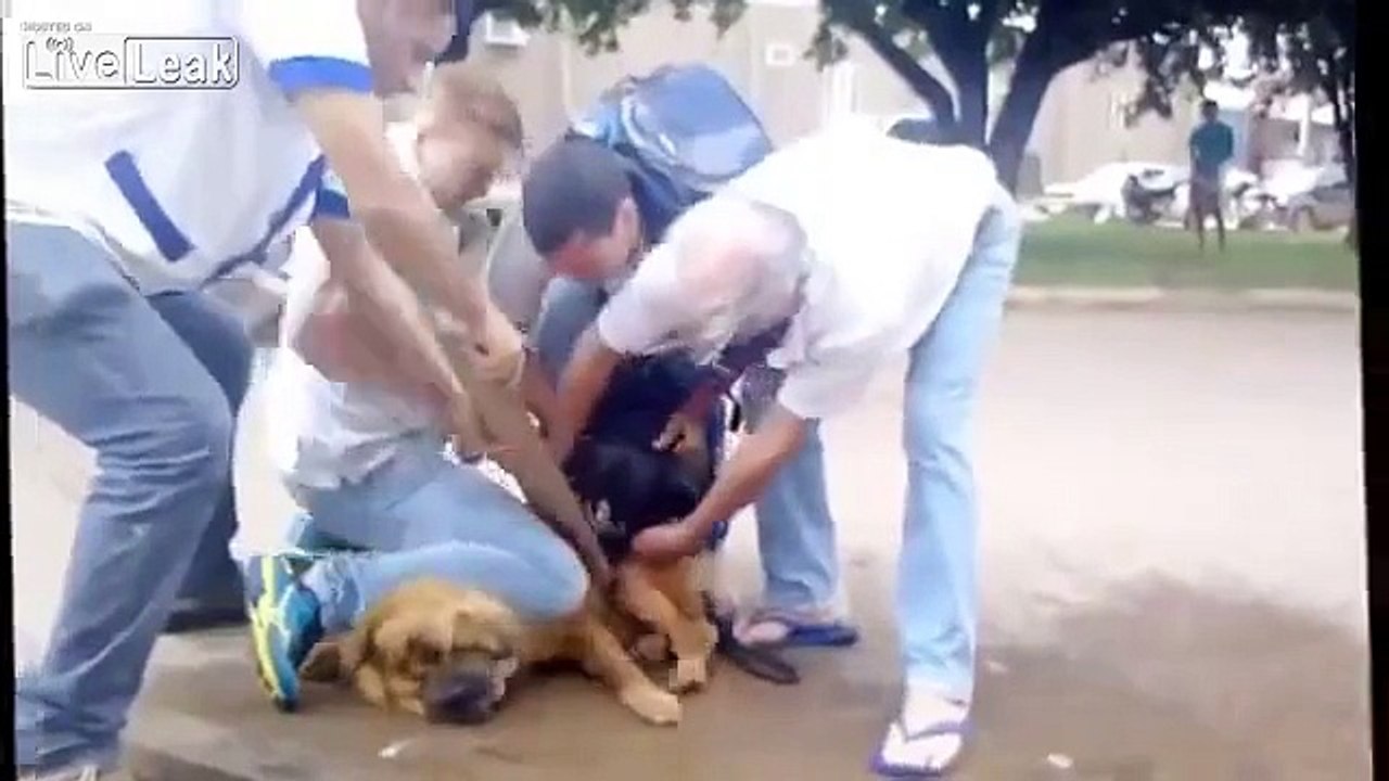 Impossible de stopper ce pitbull qui attaque un autre chien
