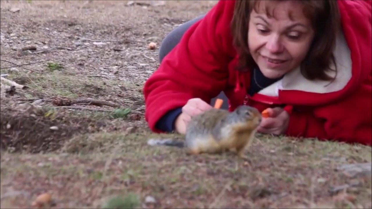 Je vous jure c'est un animal sauvage... Si si