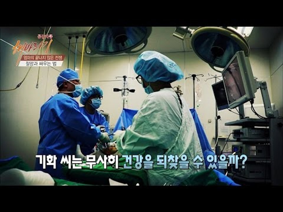 인공관철, 엄마의 망가진 연골을 대신할 수 있을까? [해바라기] 12회 20160709