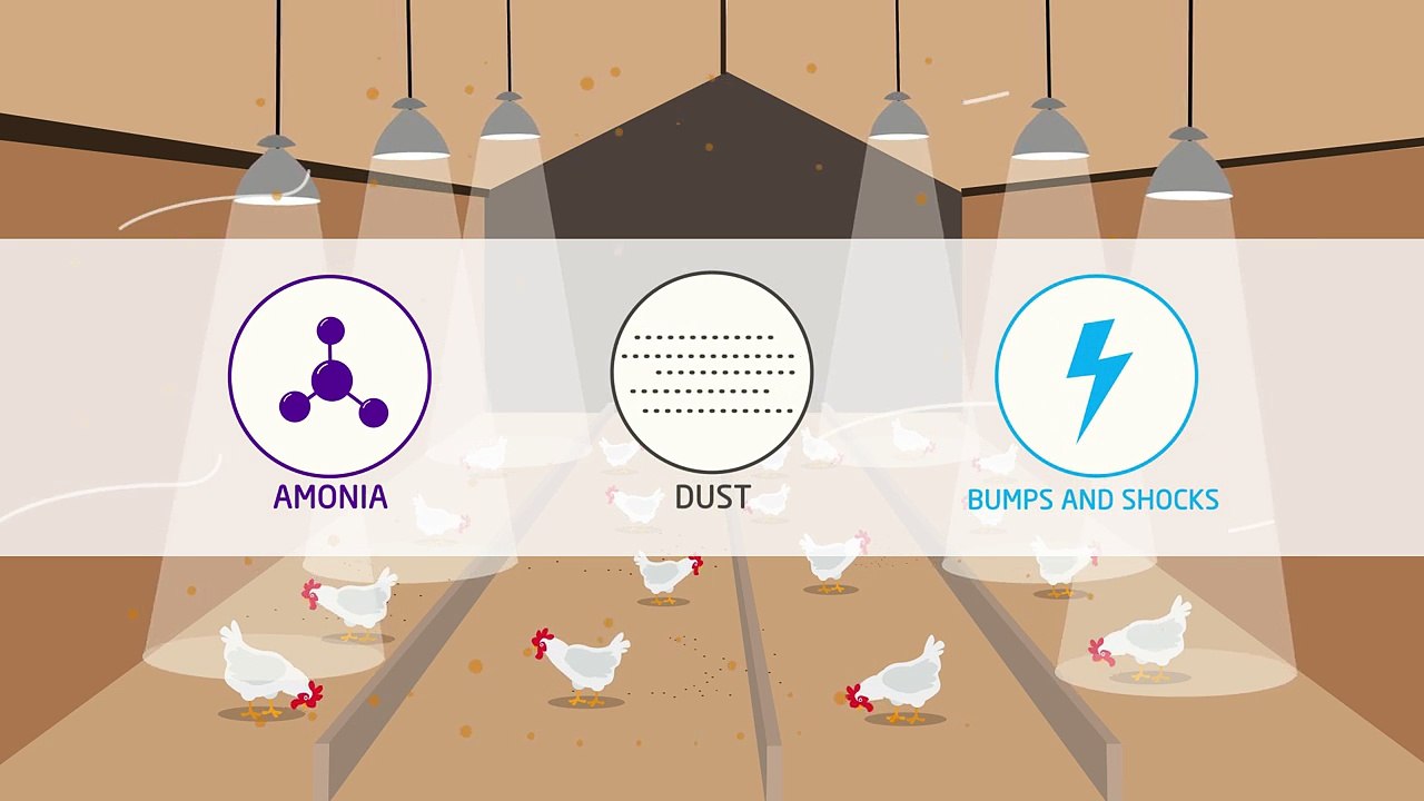 How LED Improves the Quality of Life in Agriculture?