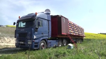 Tırda Doğal Bal Üretiyor (2)