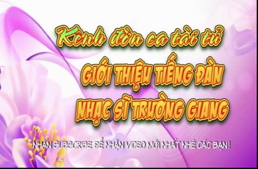 Nam xuân- Trường Giang (Kênh đờn ca tài tử)