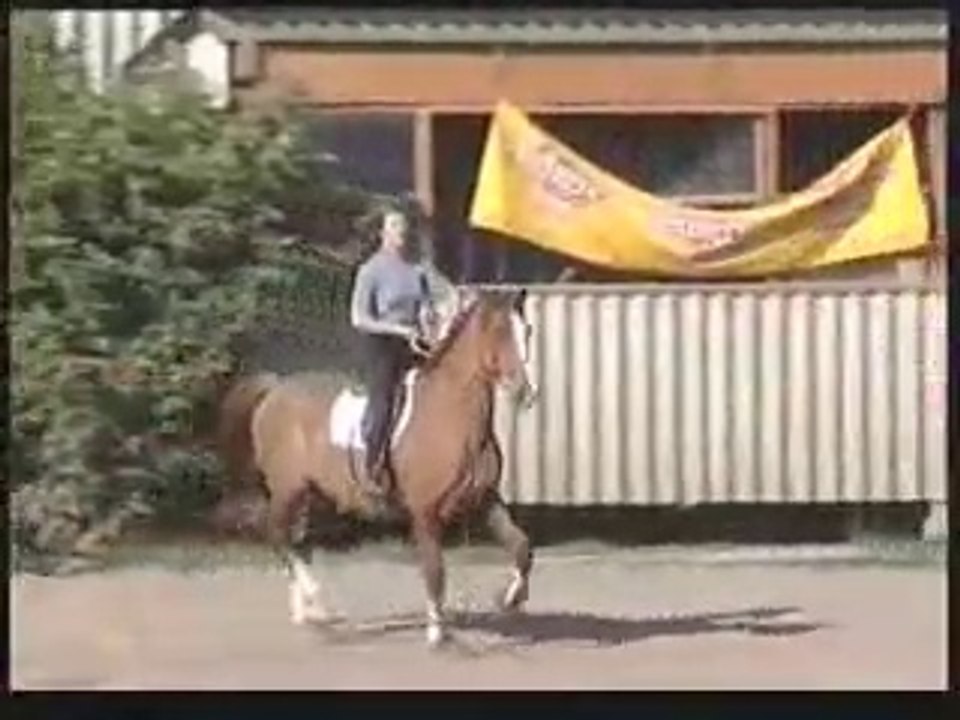 Exemple d'exercice pour Ulan ?