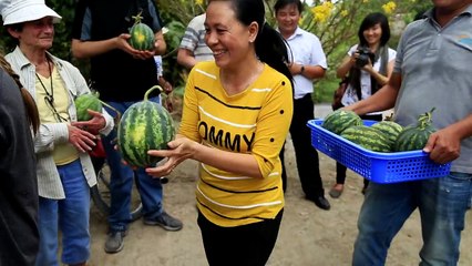 5 Things To Know Before You Travel In Vietnam(000828.367-000902.258)