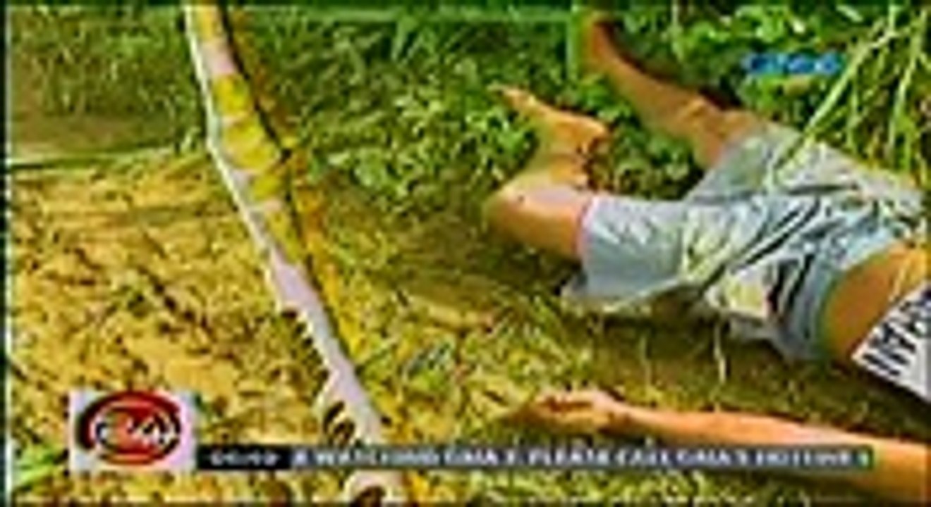 24 Oras - July 20 2016 Part 2_Watch tv series