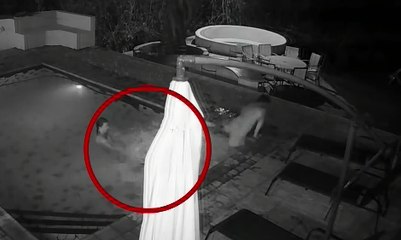 Asyik Berenang, Seekor Buaya Serang Pria-Wanita Ini