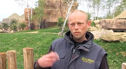 DECOUVERTE/ La terre des Lions