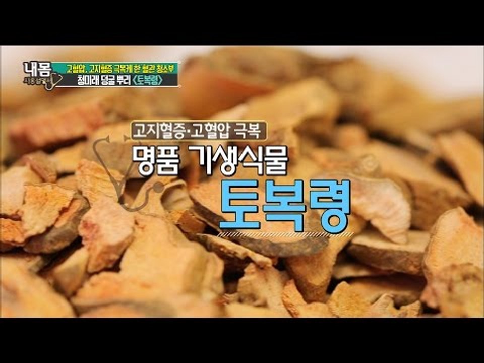 고혈압, 고지혈증을 없앤 기생식물은? [내 몸 사용설명서] 110회 20160708