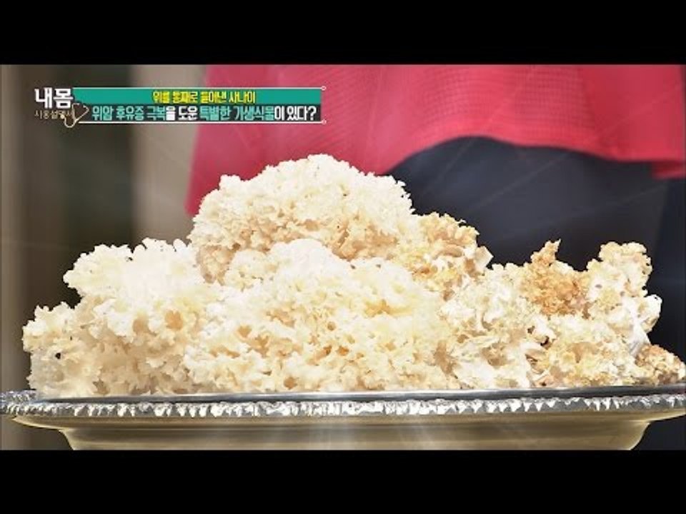 암 환자들에게 유명한 기생식물? [내 몸 사용설명서] 110회 20160708