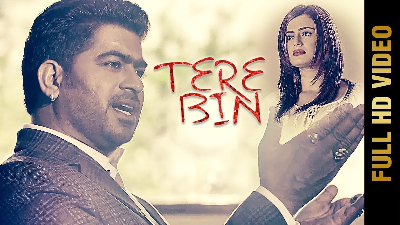 TERE BIN (Full Video) | LALLY K | Latest Punjabi Songs 2017 | Amar Audio