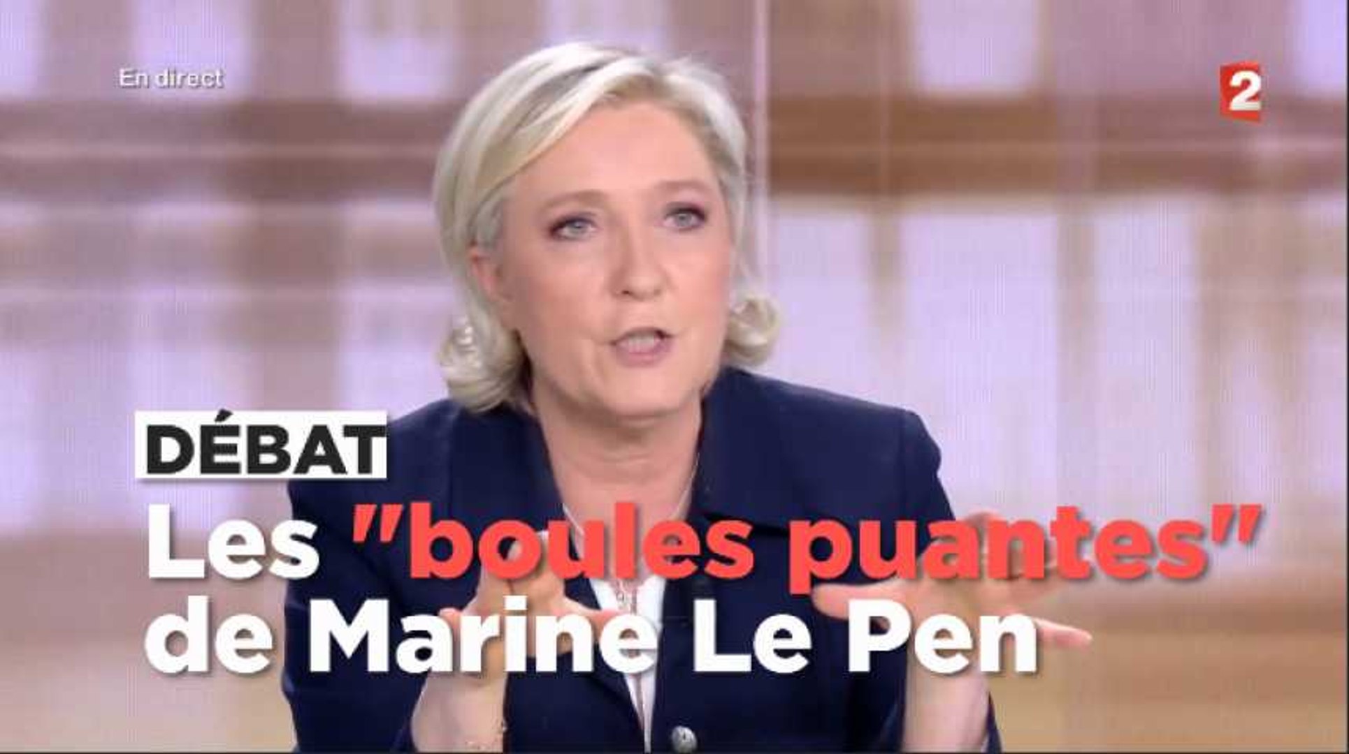 Débat : les pires boules puantes de Marine Le Pen lancées sur Macron -  Vidéo Dailymotion