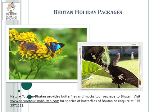 Bhutan Holiday Packages, Bhutan Tour Packages