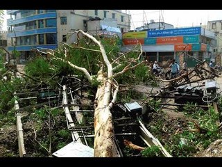 Unseasonal Rain storms Hit Bihar