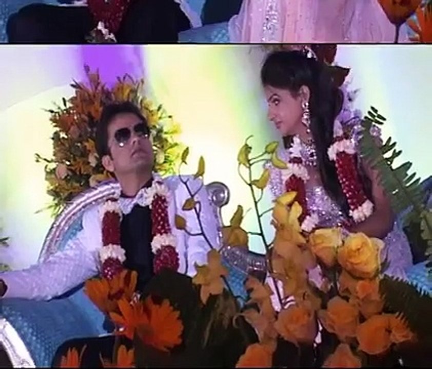 Bollywood Celebs at Devhooti Paliwal Wedding Reception at Udaipor