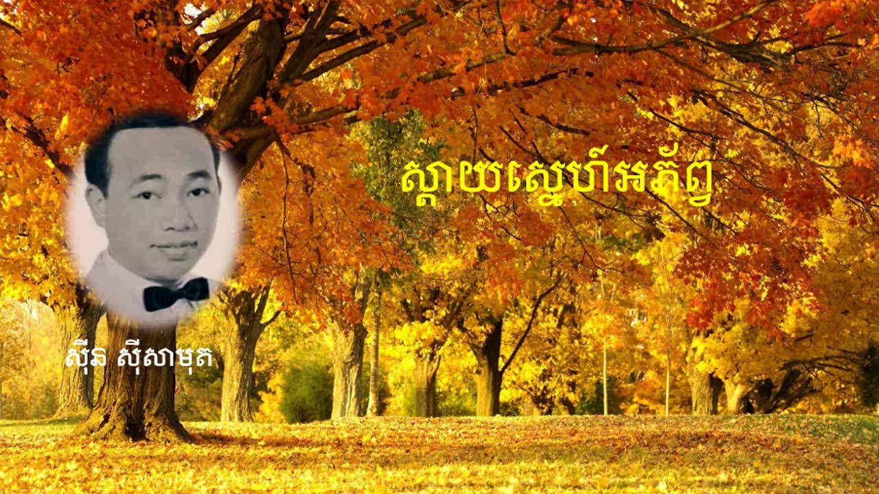 ស្តាយស្នេហ៍អភ័ព្វ