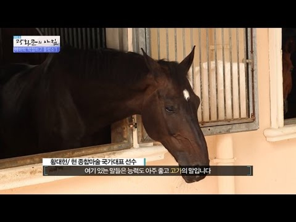 수억원? 에바의 귀하신 말들의 변 치우기 미션![광화문의 아침] 269회 20160707