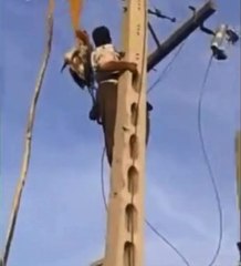 Leyleği Kurtarmak İsterken Feci Şekilde Can Verdi