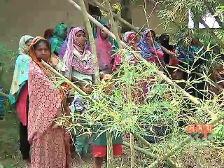 বাবা-মেয়ের আত্মহত্যার ঘটনায় হালিমার বাড়িতে হাহাকার