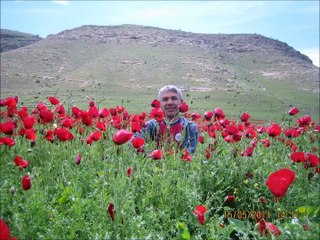 Cevat Sinet Mor Kiryakus Manastırı Hasankeyf Batman