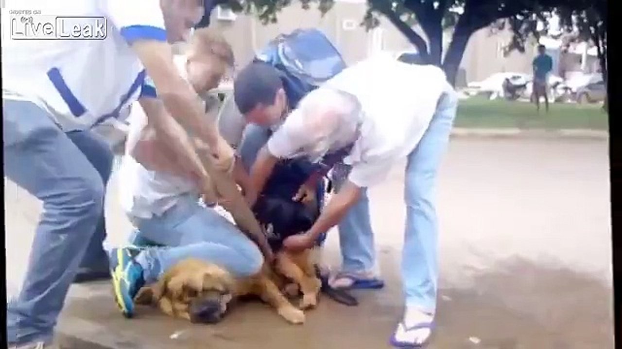 Ils sont obligés de s'y mettre à 4 pour stopper un pitbull qui s'attaquait à un autre chien