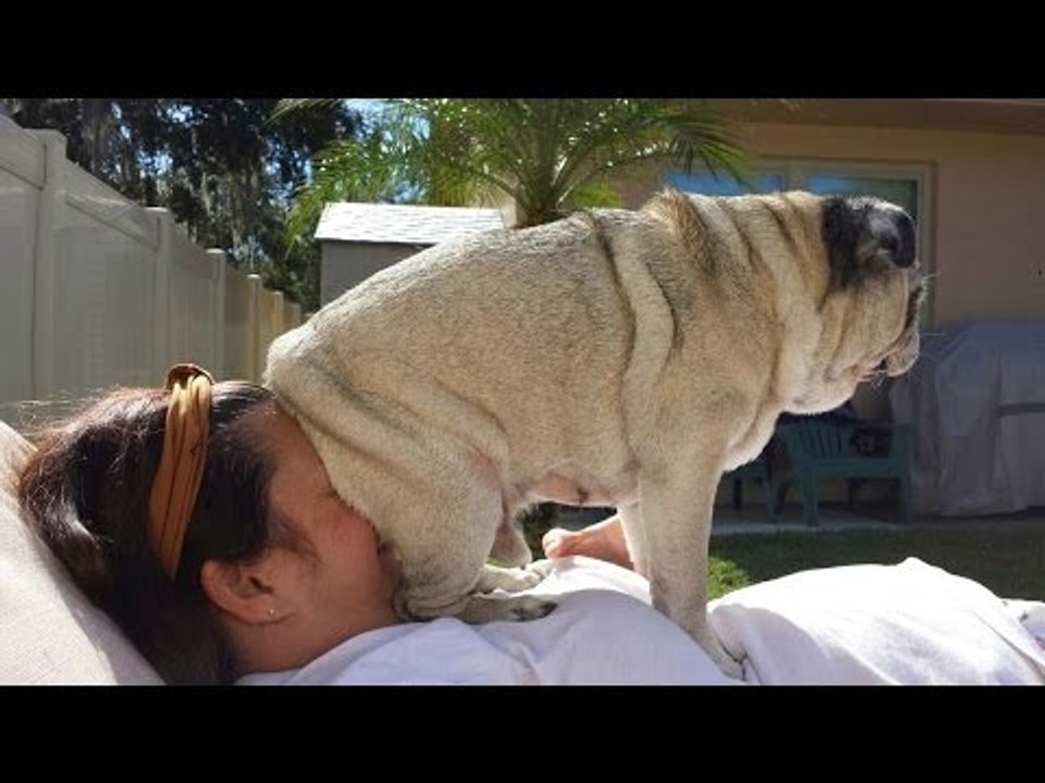 Funny fails compilation 2017