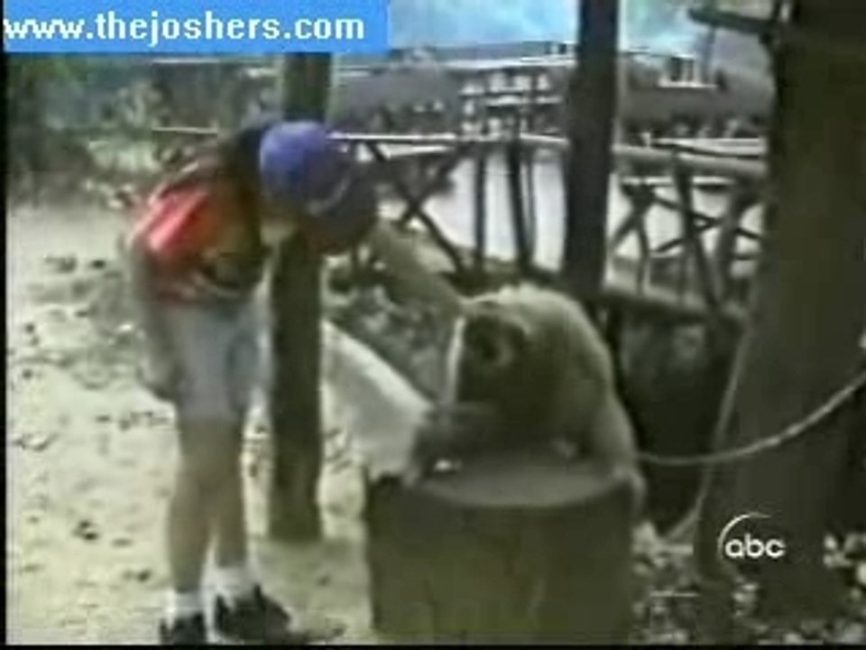 singe calin