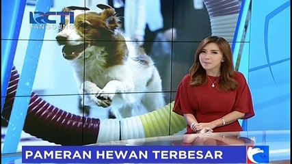 Pameran Hewan Peliharaan Terbesar di Amerika