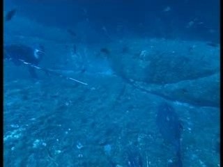 Les secrets de la pêche sous-marine