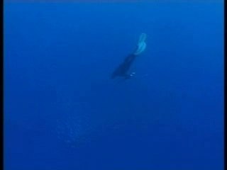 Chasse en Nouvelle-Calédonie