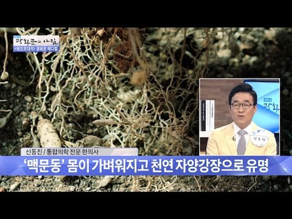 천연 자양강장의 최고! 맥문동에 대해 알아보자 [광화문의 아침] 267회 20160705