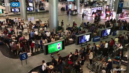 Loạt trang sức nghi ngà voi giấu trong bụng cá hồi ở sân bay